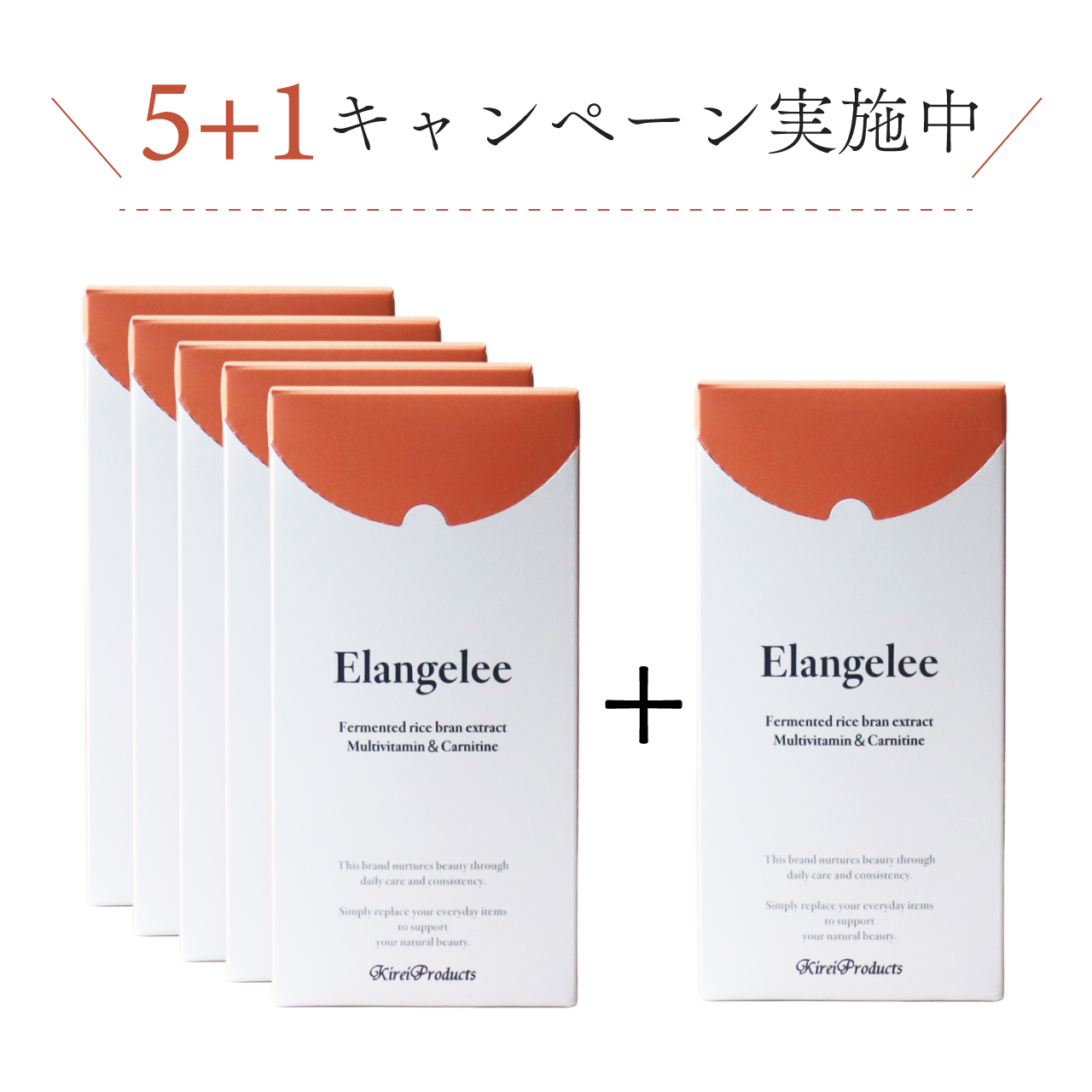 【５+1キャンペーン】エランジュレ