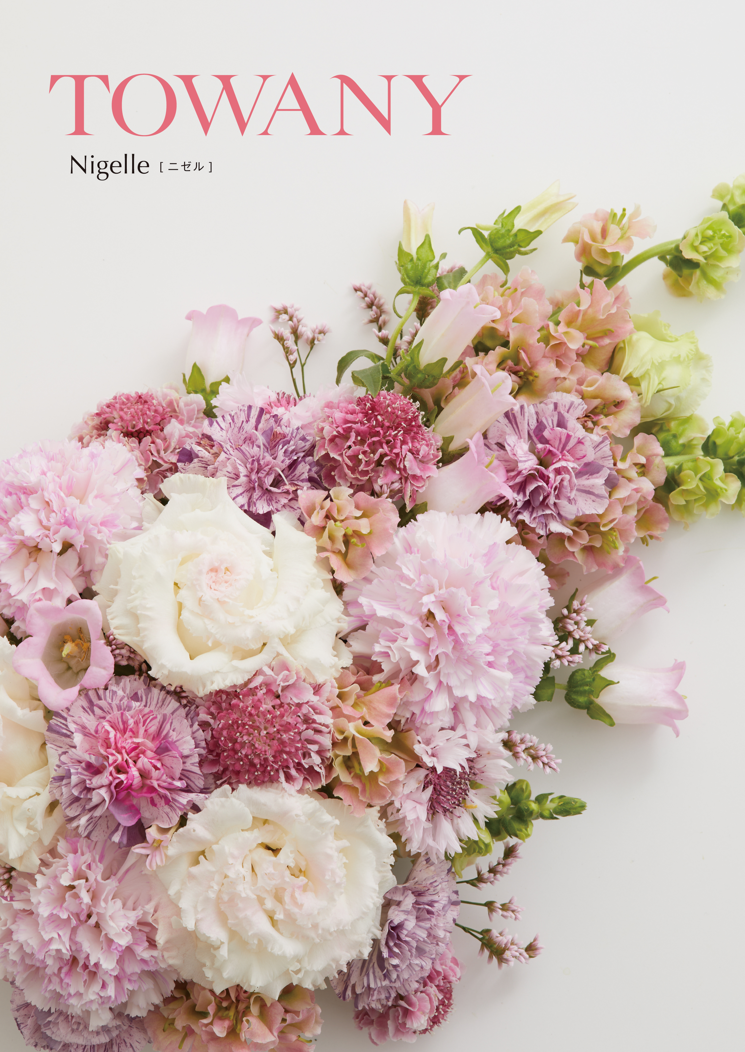 TOWANY NIGELLE トワニー・ニゼル