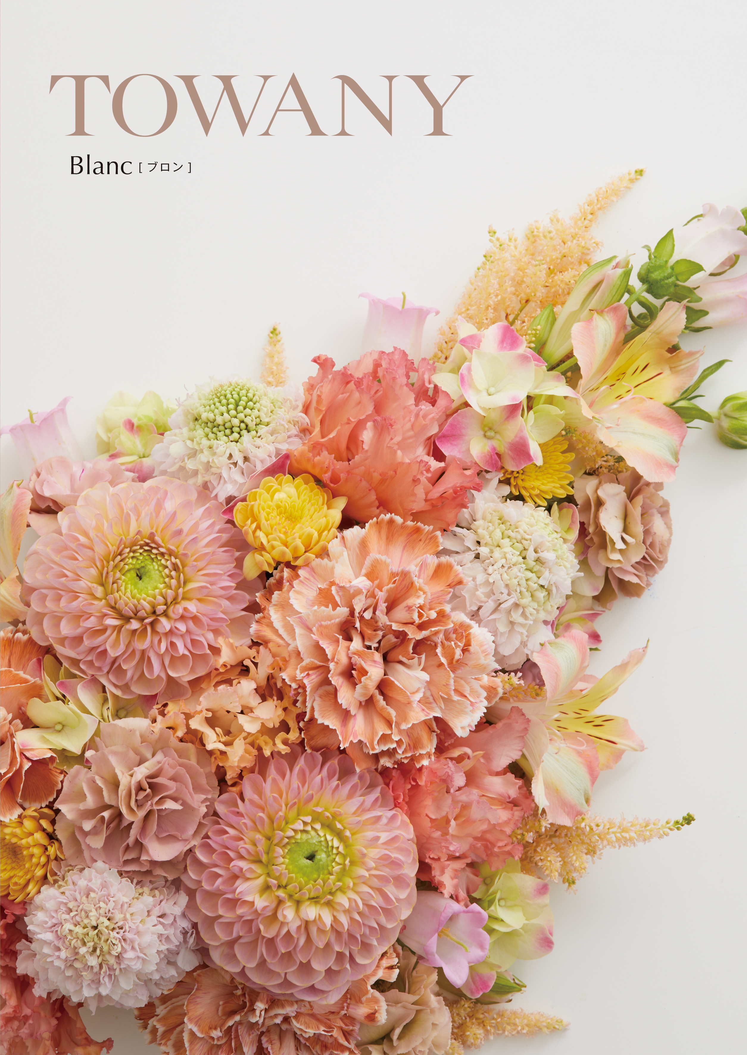 TOWANY BLANC トワニー・ブロン