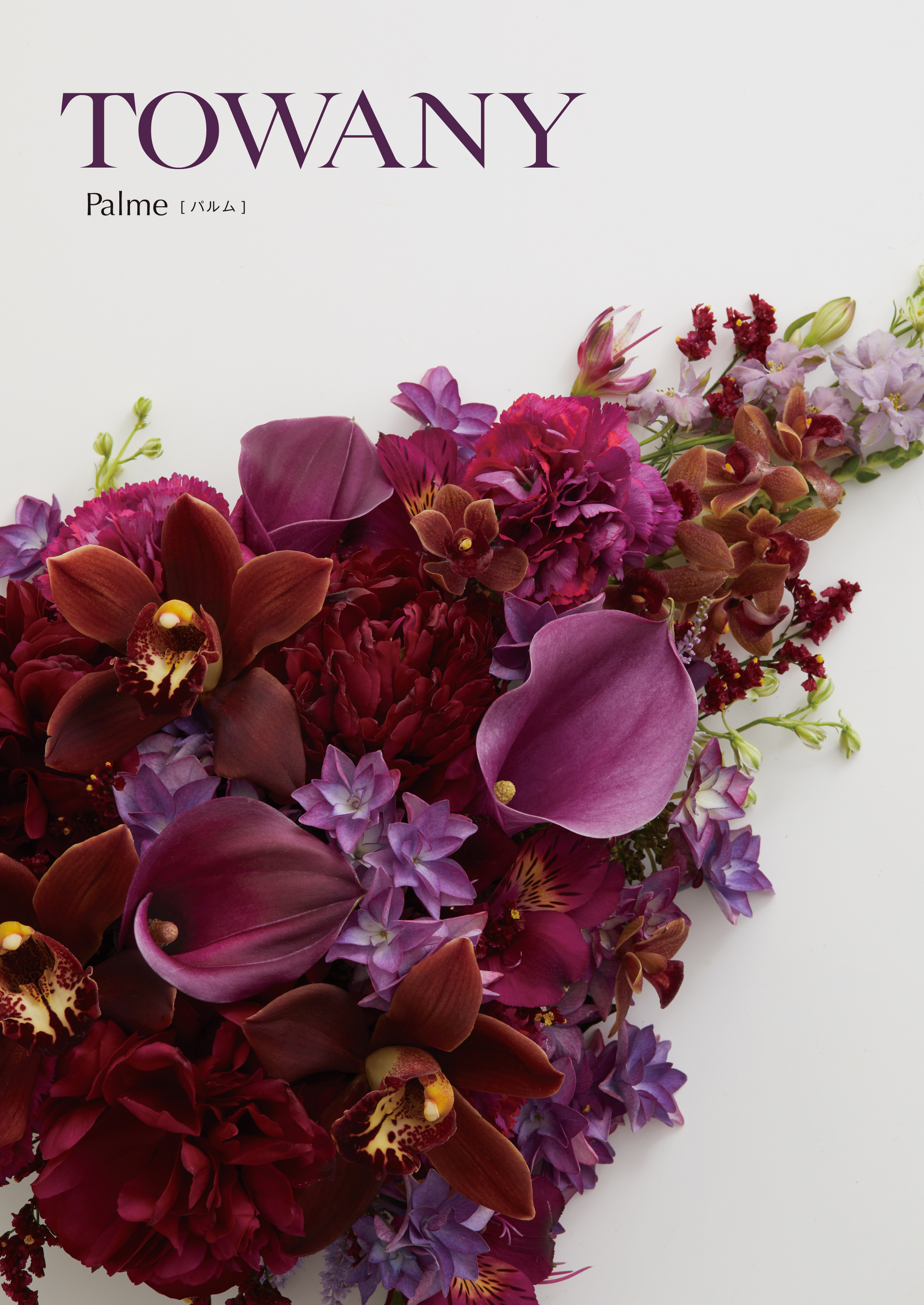 TOWANY PALME トワニー・パルム