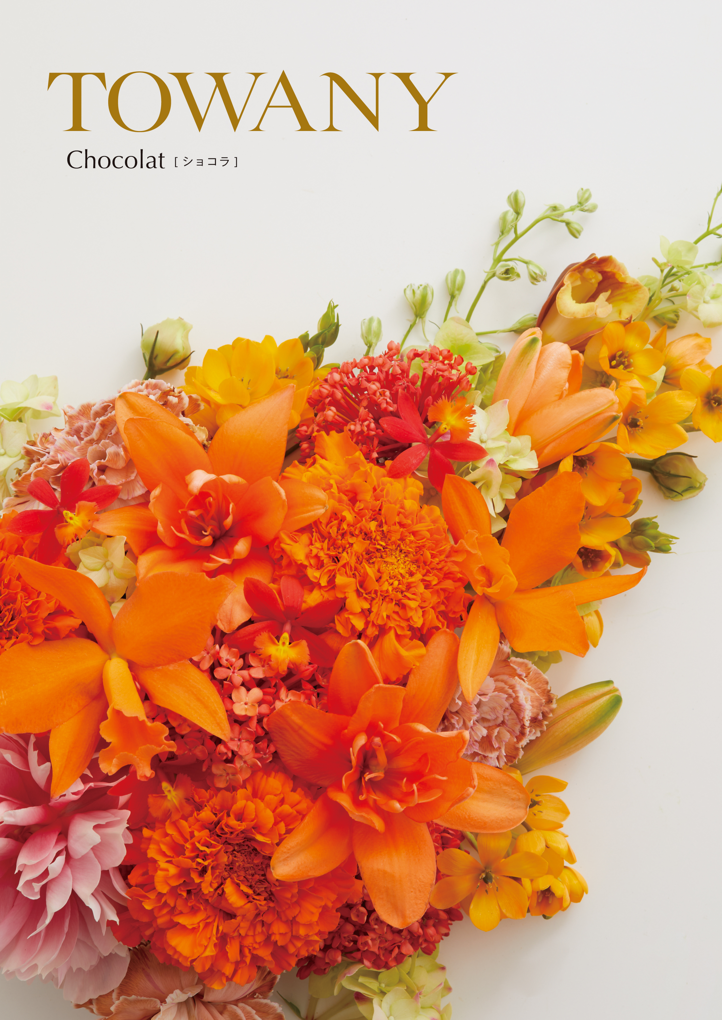 TOWANY CHOCOLAT トワニー・ショコラ