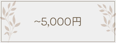 ～5,000円