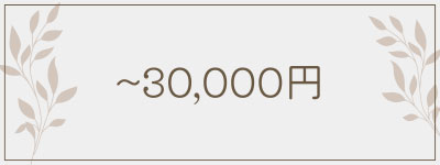～30,000円