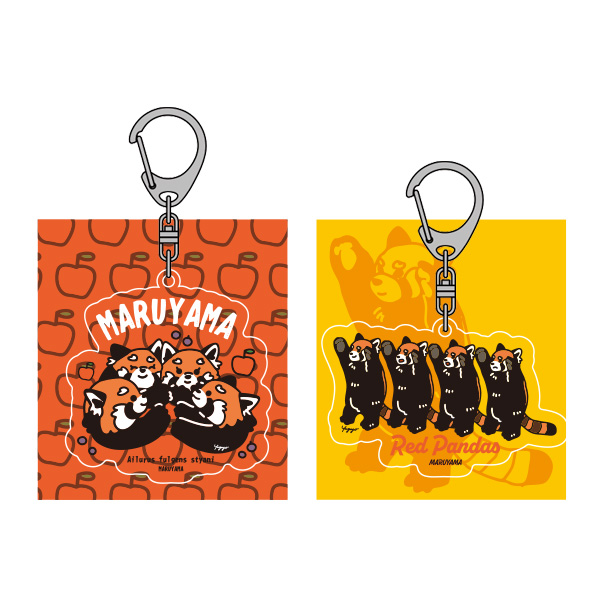 円山動物園　レッサーパンダ　アクリルキーホルダー（やゆよ）