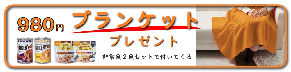 ブランケットプレゼント
