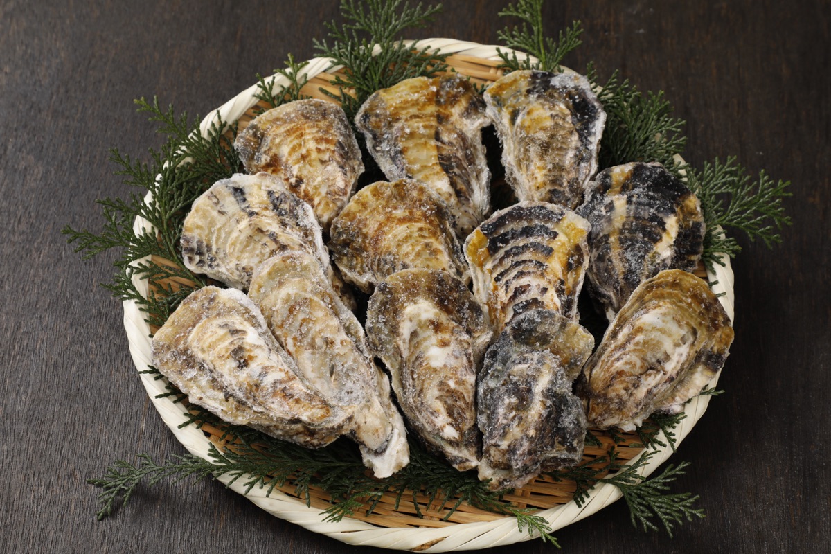 ざる盛りの殻付き牡蠣