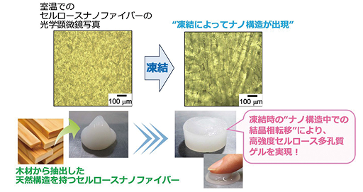 セルロースで創る新素材