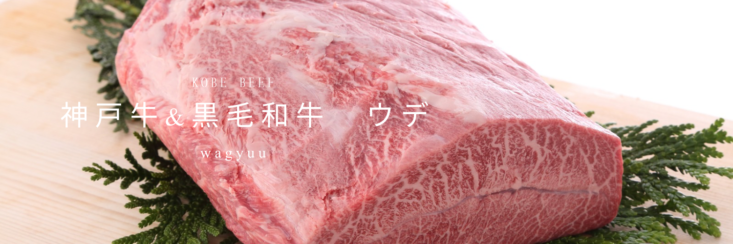 ウデ(肩)