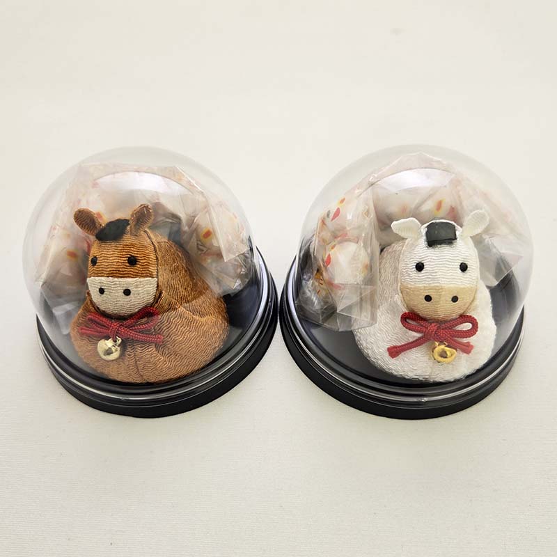【受付中！出荷は11月上旬～】ドーム入（午）