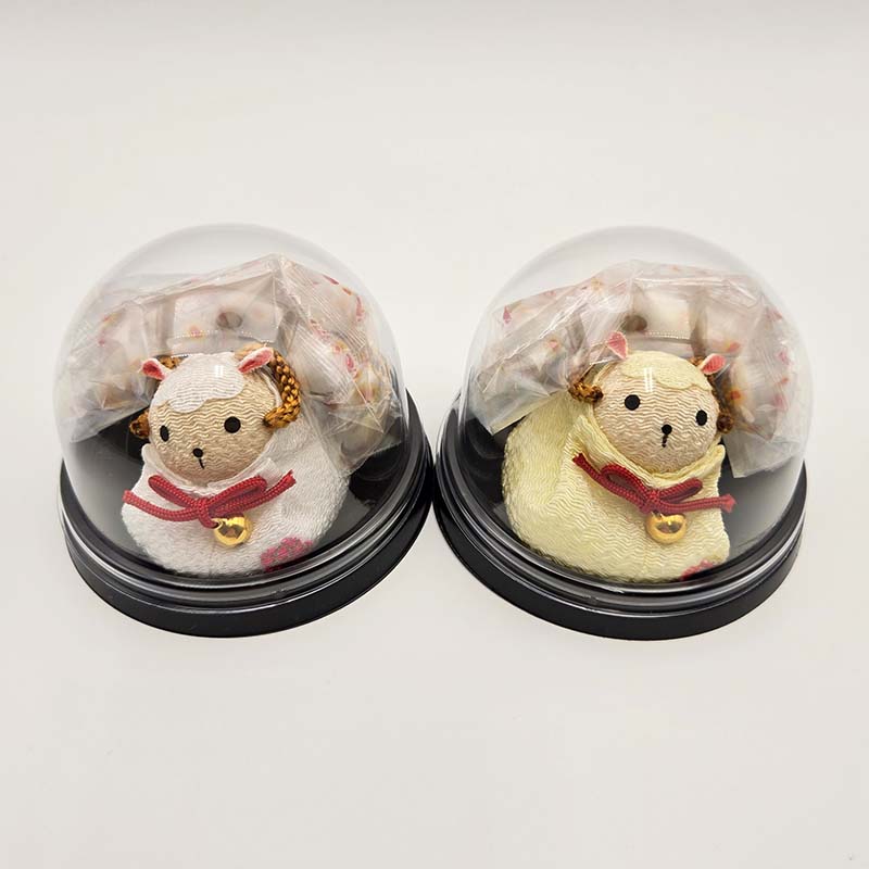【受付中！11月下旬～出荷スタート】ドーム入（未）