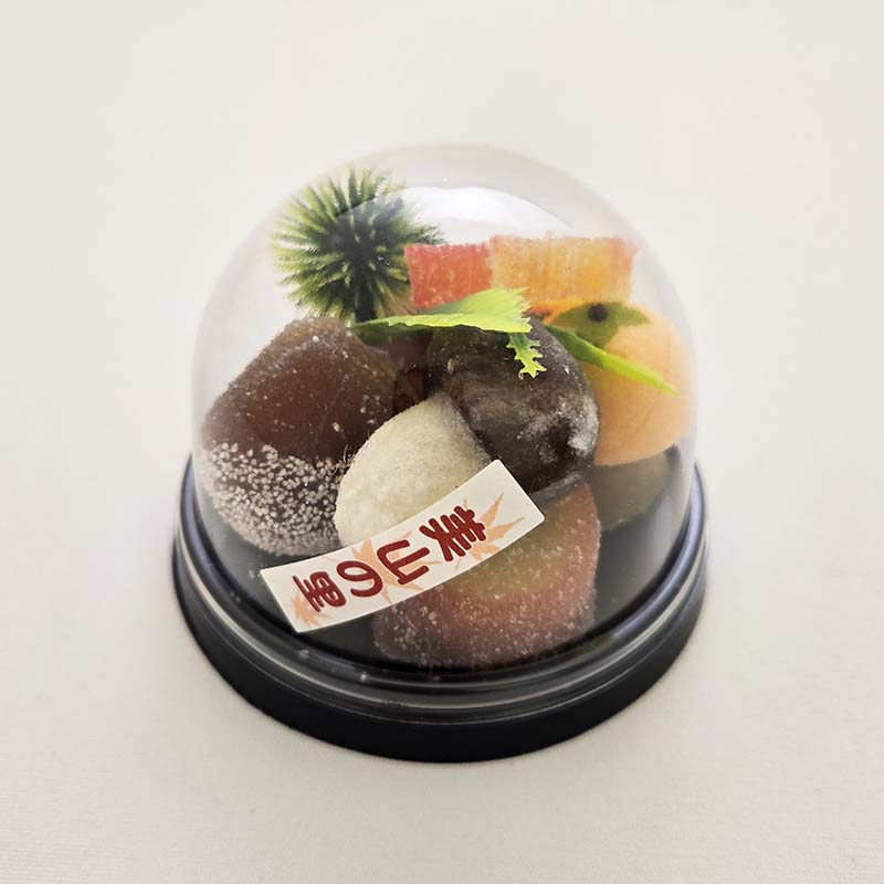 美山の里