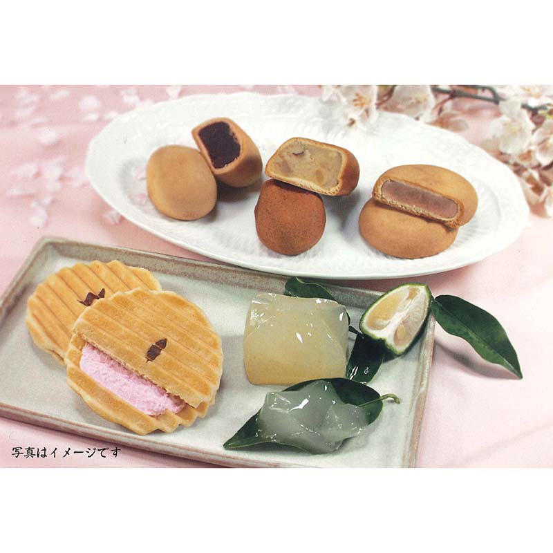 【リニューアル】旬菓のにぎわい（春）