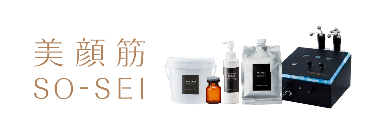 美顔筋SO-SEI