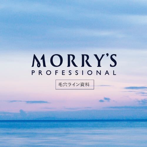 モリーズPro 毛穴シリーズ商品研修資料