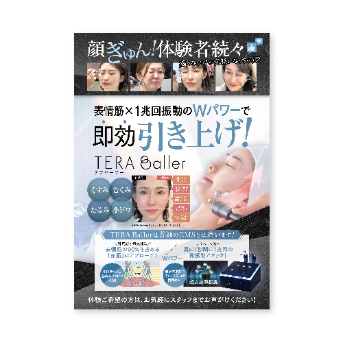 テラボーラーポスター(A3)  2025.3ver