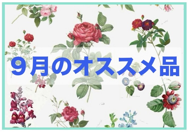 9月のおすすめアイテム
