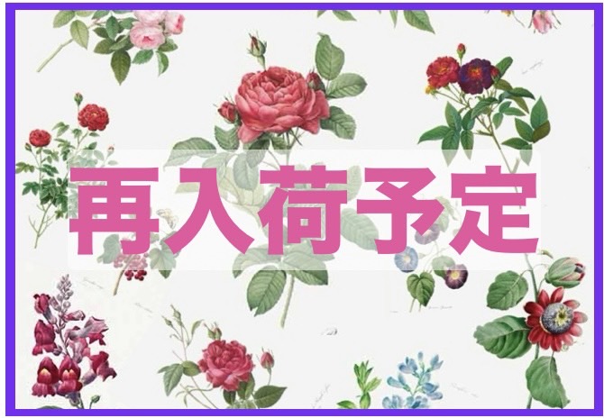 再入荷予定