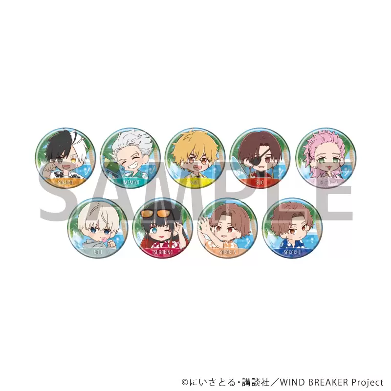 【A3】缶バッジ「TVアニメ『WIND BREAKER』」12/海遊びver. ブラインド(全9種)(グラフアートイラスト) 1BOX入数：9