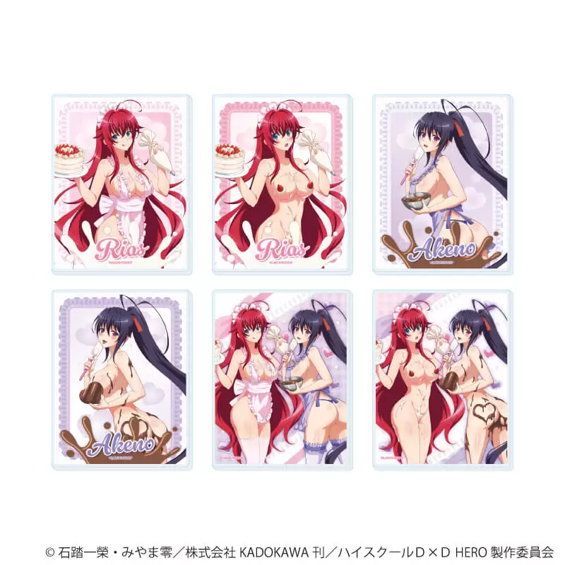 【A3】アクリルカード「ハイスクールD×D HERO」05/ブラインド(全6種)(描き下ろしイラスト) 1BOX入数：6