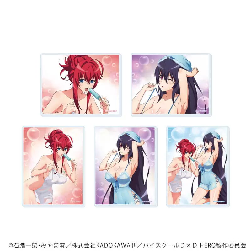 【A3】アクリルカード「ハイスクールD×D HERO」04/ブラインド(全5種)(描き下ろしイラスト) 1BOX入数：5