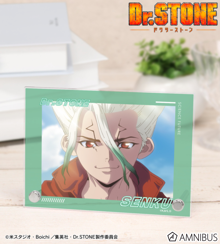 【アルマビアンカ】TVアニメ「Dr.STONE」 石神千空 4期23話 A6アクリルパネル