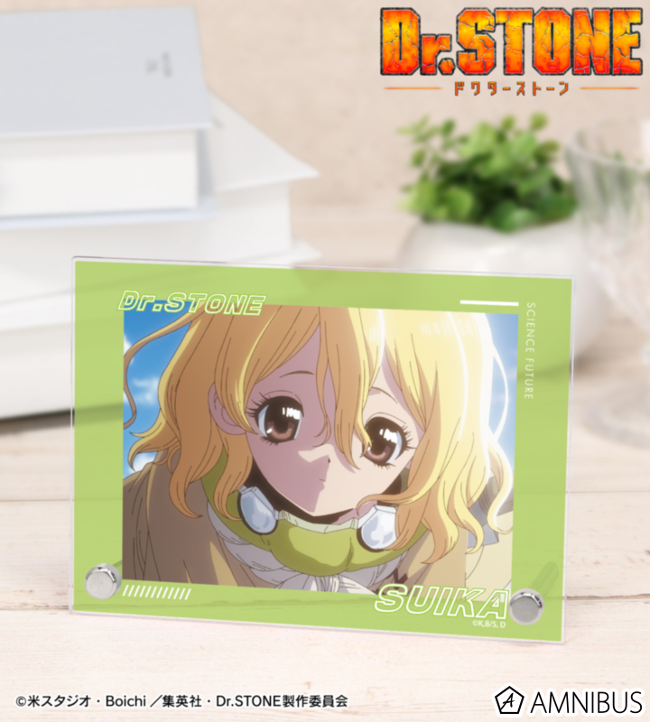【アルマビアンカ】TVアニメ「Dr.STONE」 スイカ 4期23話 A6アクリルパネル