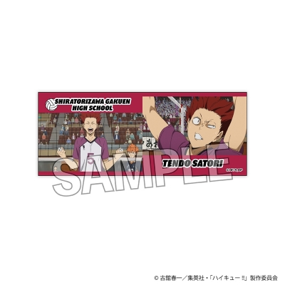 【PROOF】ハイキュー！！ 積み積みロングブロック 8