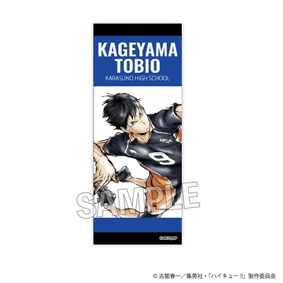 【PROOF】ハイキュー！！ 積み積みロングブロック 激闘！！ver. 影山飛雄