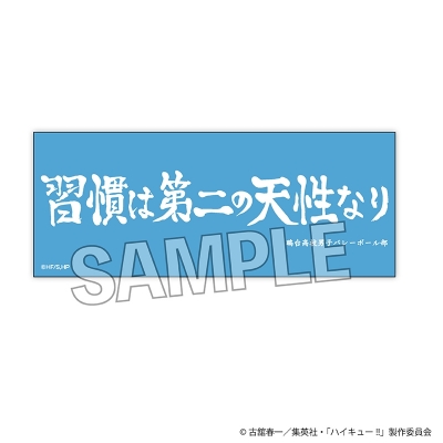 【PROOF】ハイキュー！！ 積み積みロングブロック 横断幕ver. 鴎台高校