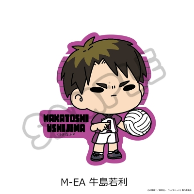 【シンクイノベーション】ハイキュー！！ 第11弾 クリアカードステッカー（mochocho） M-EA 牛島若利
