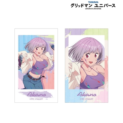 【アルマビアンカ】グリッドマン ユニバース 描き下ろし 新条アカネ ペインタースタイルver. Ani-Frame 2枚セット