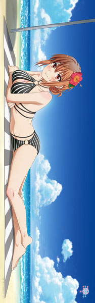 【スターコーポレーション】やはり俺の青春ラブコメはまちがっている。完 【描き下ろし】プレミアム抱き枕カバー 由比ヶ浜母（水着）