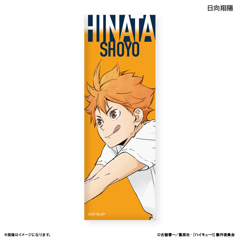 【カルチュア・エンタテインメント】ハイキュー！！ トレーディングロング缶バッジ ～レシーブ～ 【全8種】（BOX）
