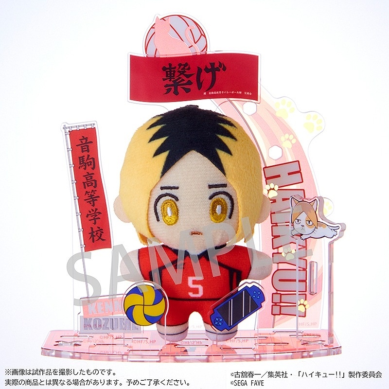 【セガフェイブ】アクぬい ハイキュー！！ 孤爪研磨