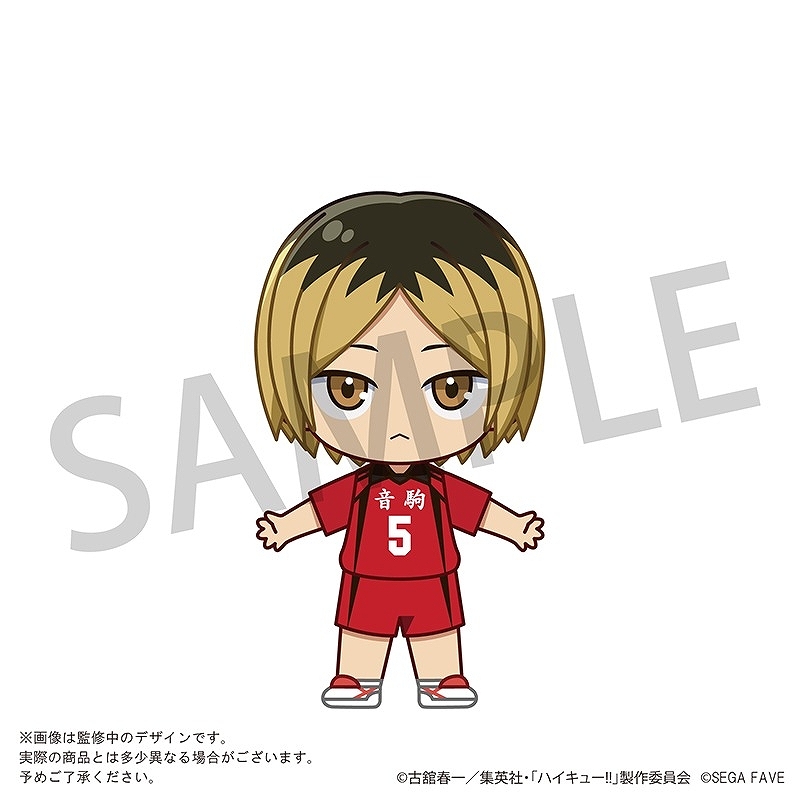 【セガフェイブ】アクドール ハイキュー！！ 孤爪 研磨