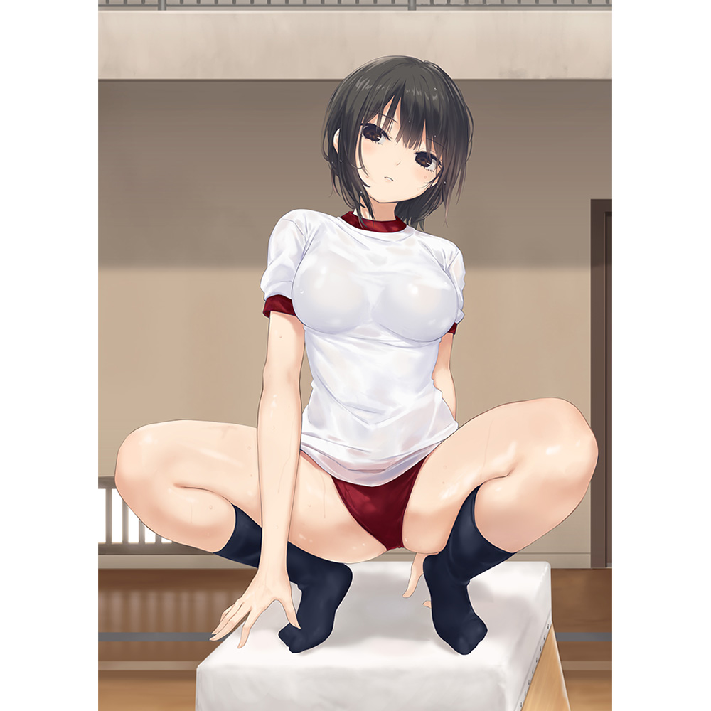 【カーテン魂】珈琲貴族先生 描き下ろしB2タペストリー （青山澄香/跳び箱）Wスエード