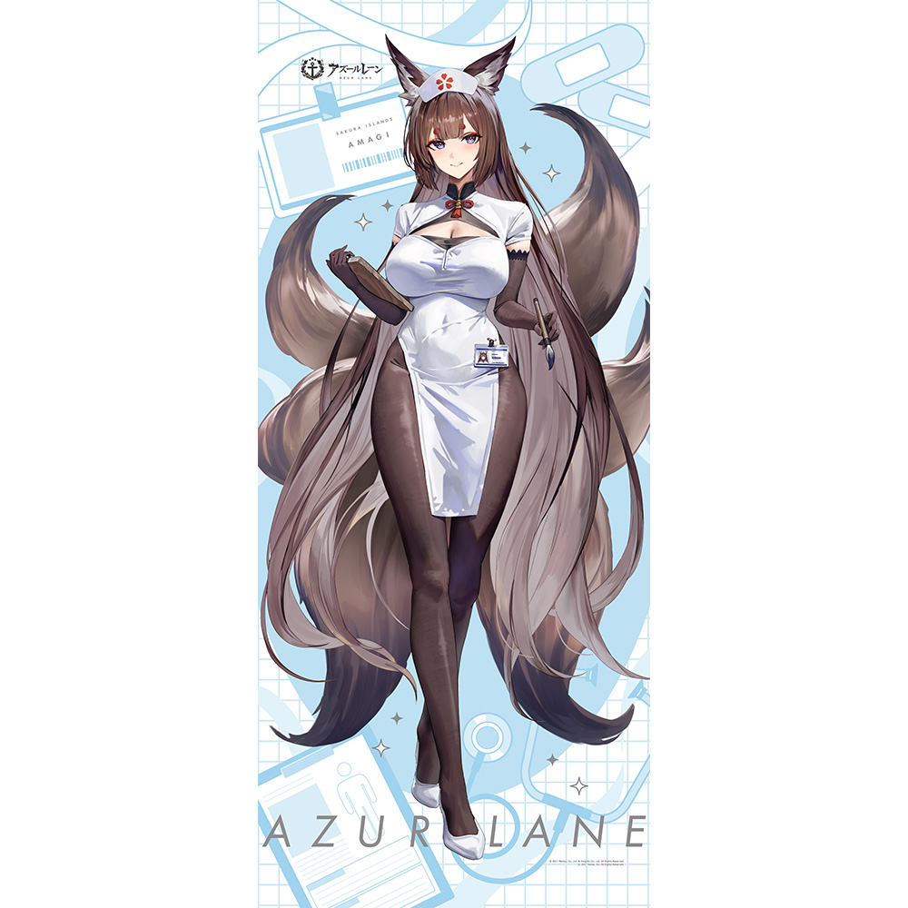 【カーテン魂】アズールレーン 描き下ろし特大タペストリー (天城 (空母)/ナース)