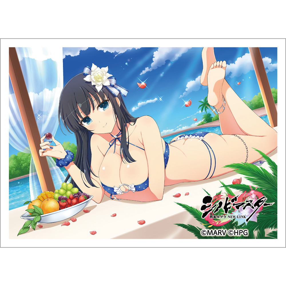 【カーテン魂】シノビマスター 閃乱カグラ NEW LINK スリーブ (斑鳩/人気投票爆乳祭)