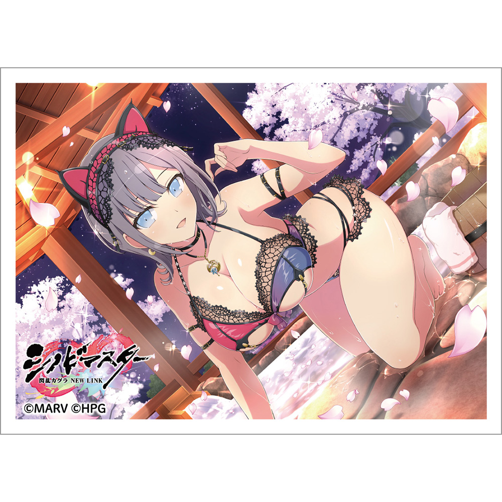 【カーテン魂】シノビマスター 閃乱カグラ NEW LINK スリーブ (雪泉/81の日盛・伝説双乳祭)