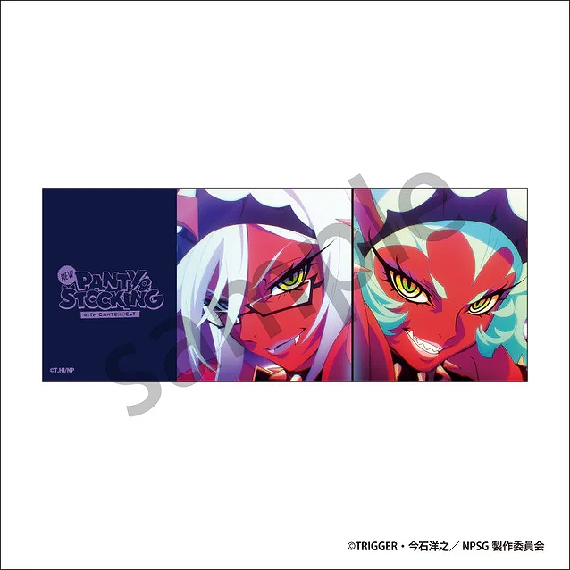 【ティー・シー・ピー】New PANTY & STOCKING with GARTERBELT ピクチャータオル スキャンティ&ニーソックス