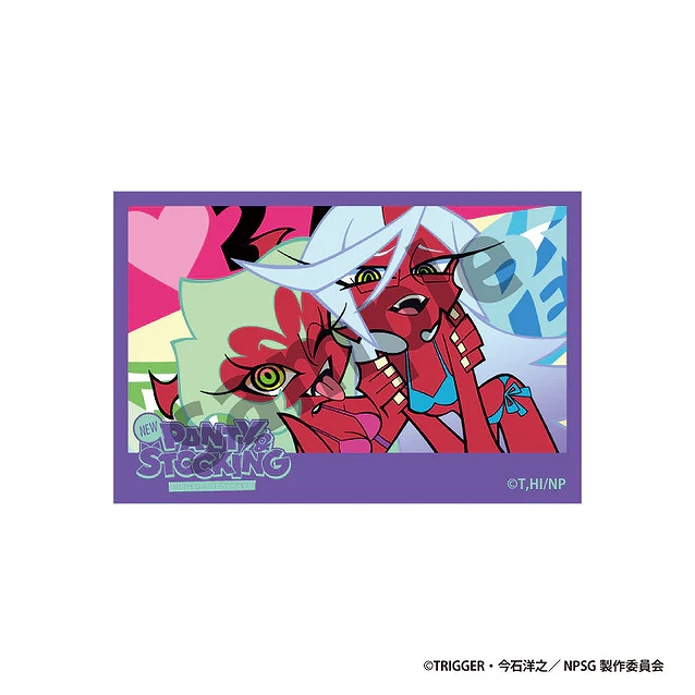 【ティー・シー・ピー】New PANTY & STOCKING with GARTERBELT ステッカー スキャンティ&ニーソックス B