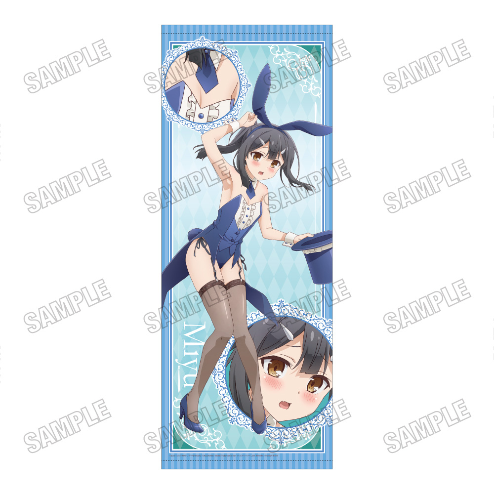 【メディコス・エンタテインメント】劇場版「Fate/kaleid liner プリズマ☆イリヤ Licht 名前の無い少女」描き下ろし等身大タペストリー【バニーVer.】（3）美遊
