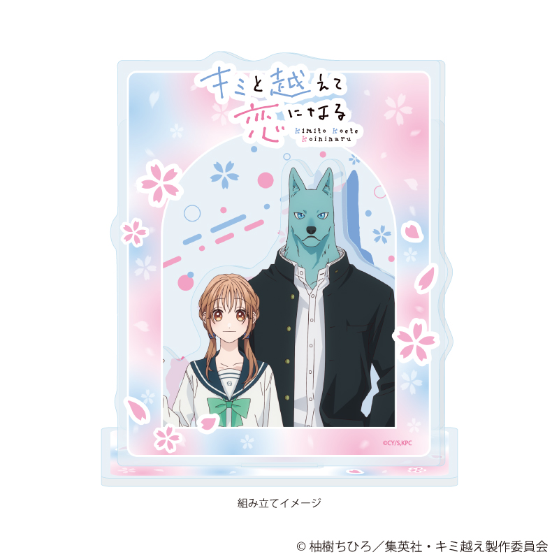 【A3】アクリルジオラマ「TVアニメ『キミと越えて恋になる』」01/朝霞 万理&飛高 繋（公式イラスト）