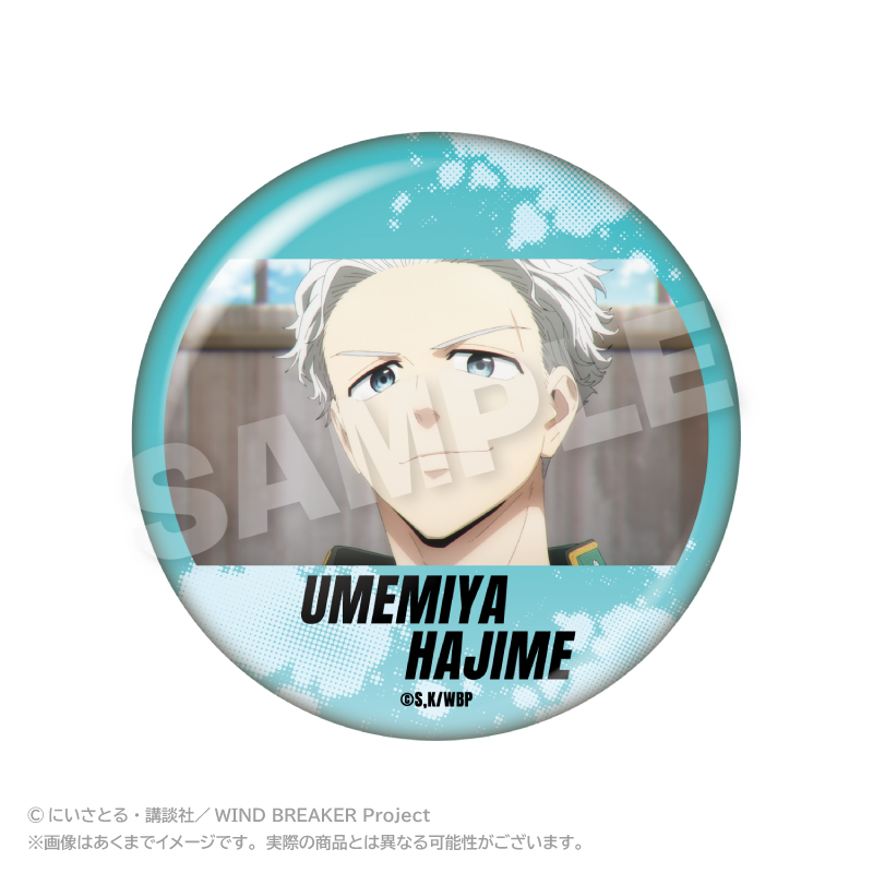 【ステラノーツ】WIND BREAKER メモリーズちょびでか缶バッジ 梅宮 一