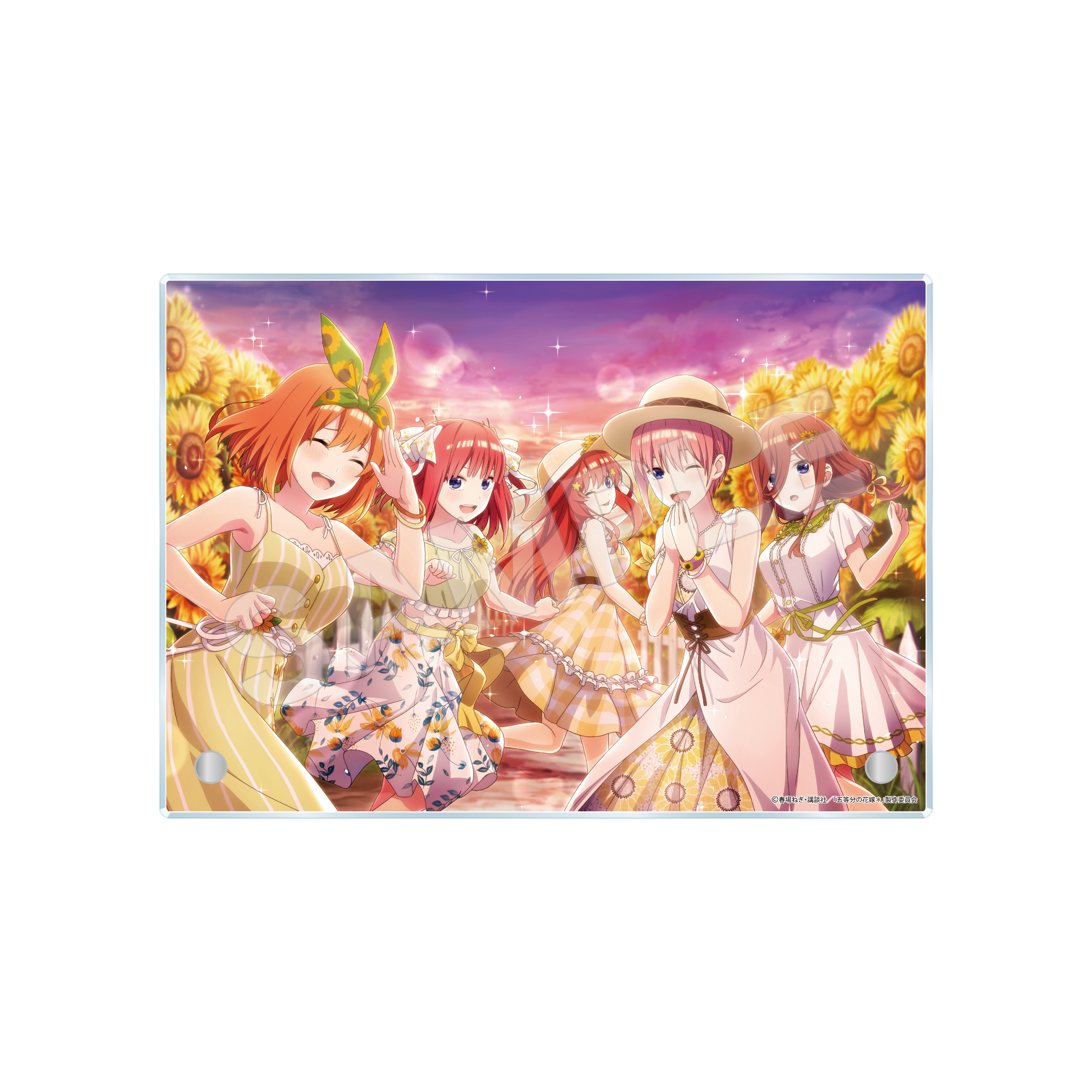 【CS.FRONT】五等分の花嫁 五つ子ちゃんはパズルを五等分できない。 アクリルボード -技- /02 ひまわり