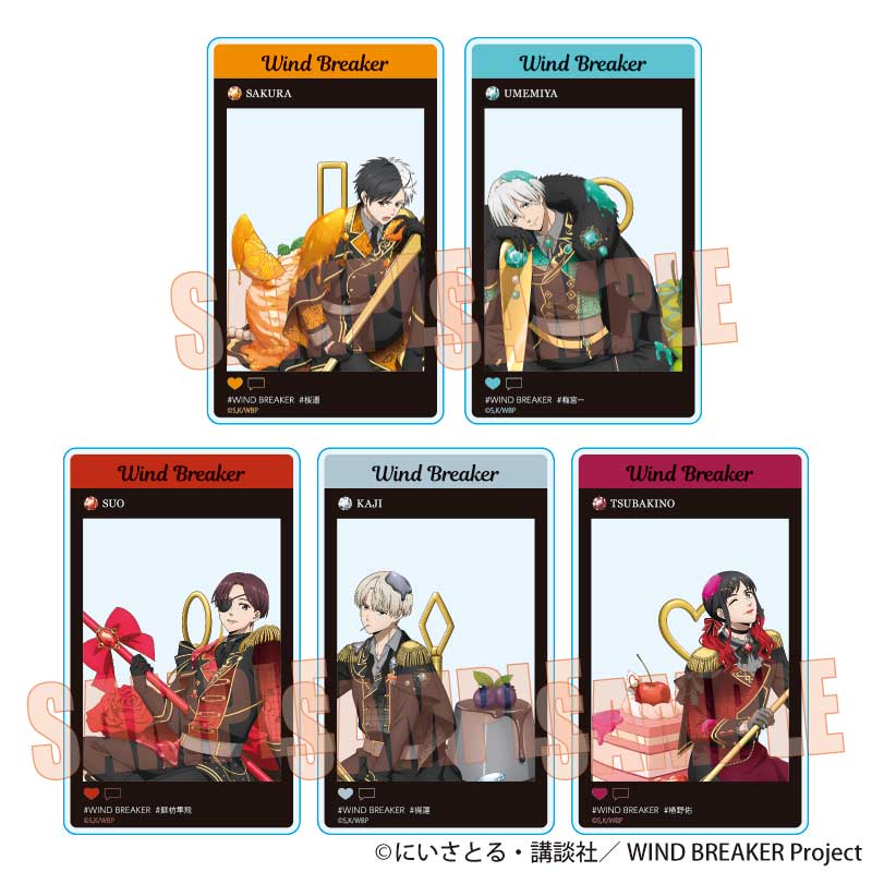 【ベルハウス】トレーディングアクリルカード WIND BREAKER/ドルチェ 1BOX入数：5