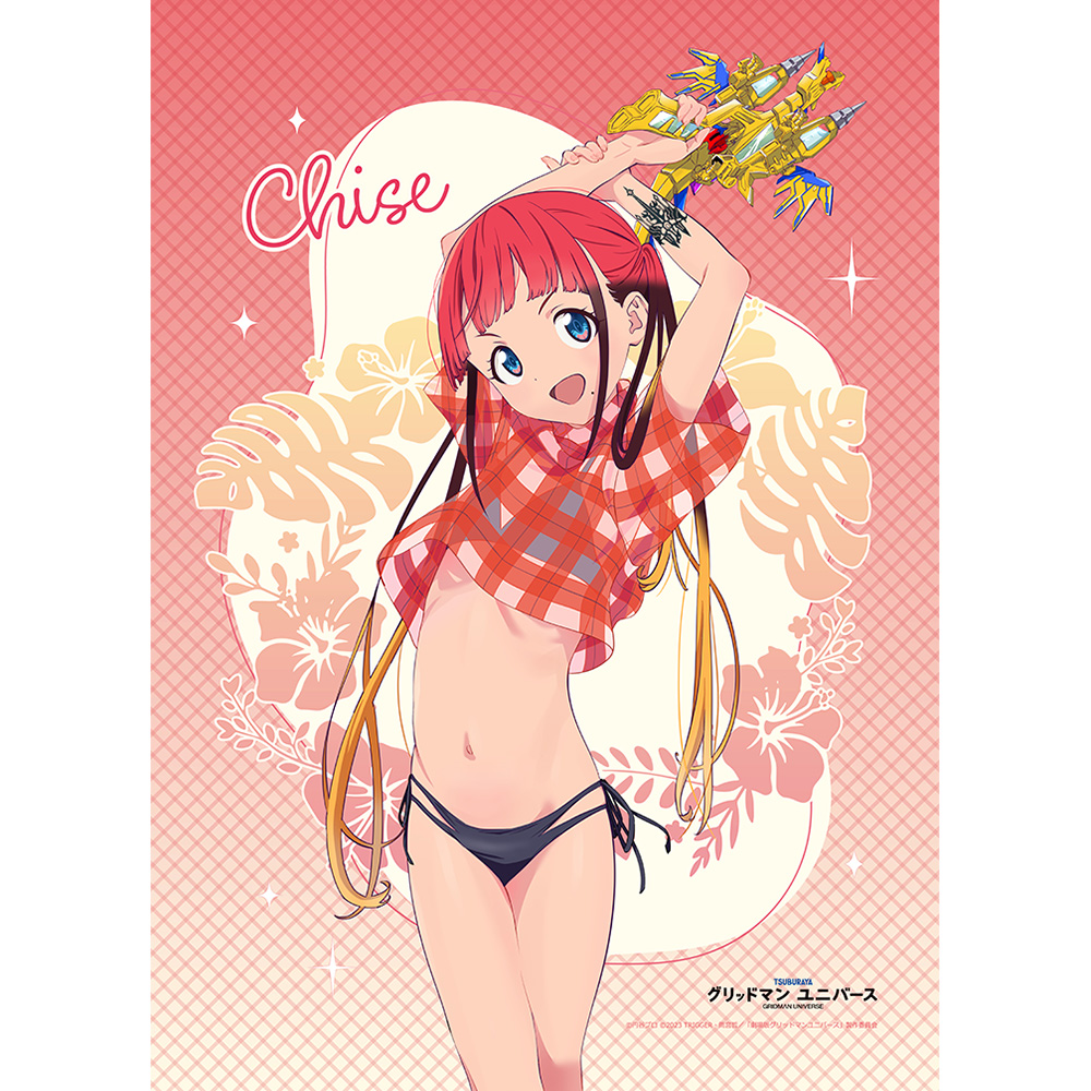 【カーテン魂】グリッドマン ユニバース 描き下ろしB2タペストリー（飛鳥川ちせ/水着）Wスエード