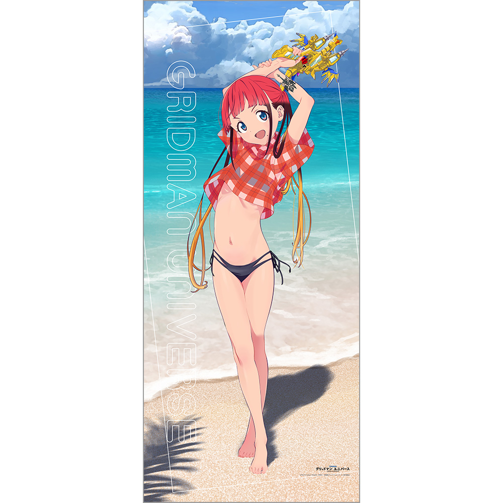 【カーテン魂】グリッドマン ユニバース 描き下ろし特大タペストリー（飛鳥川ちせ/水着）