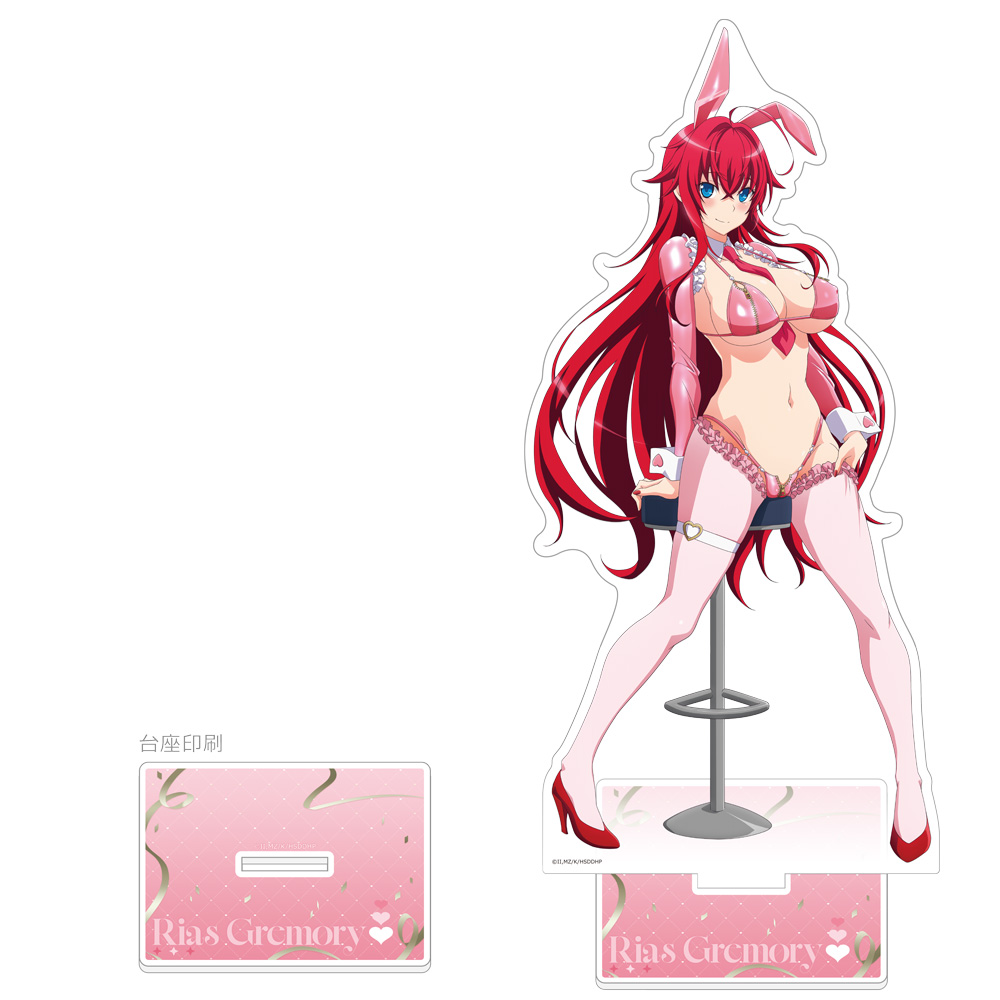 【カーテン魂】ハイスクールD×D HERO 描き下ろし 特大アクリルスタンド（リアス・グレモリー/逆バニー（ピンク））
