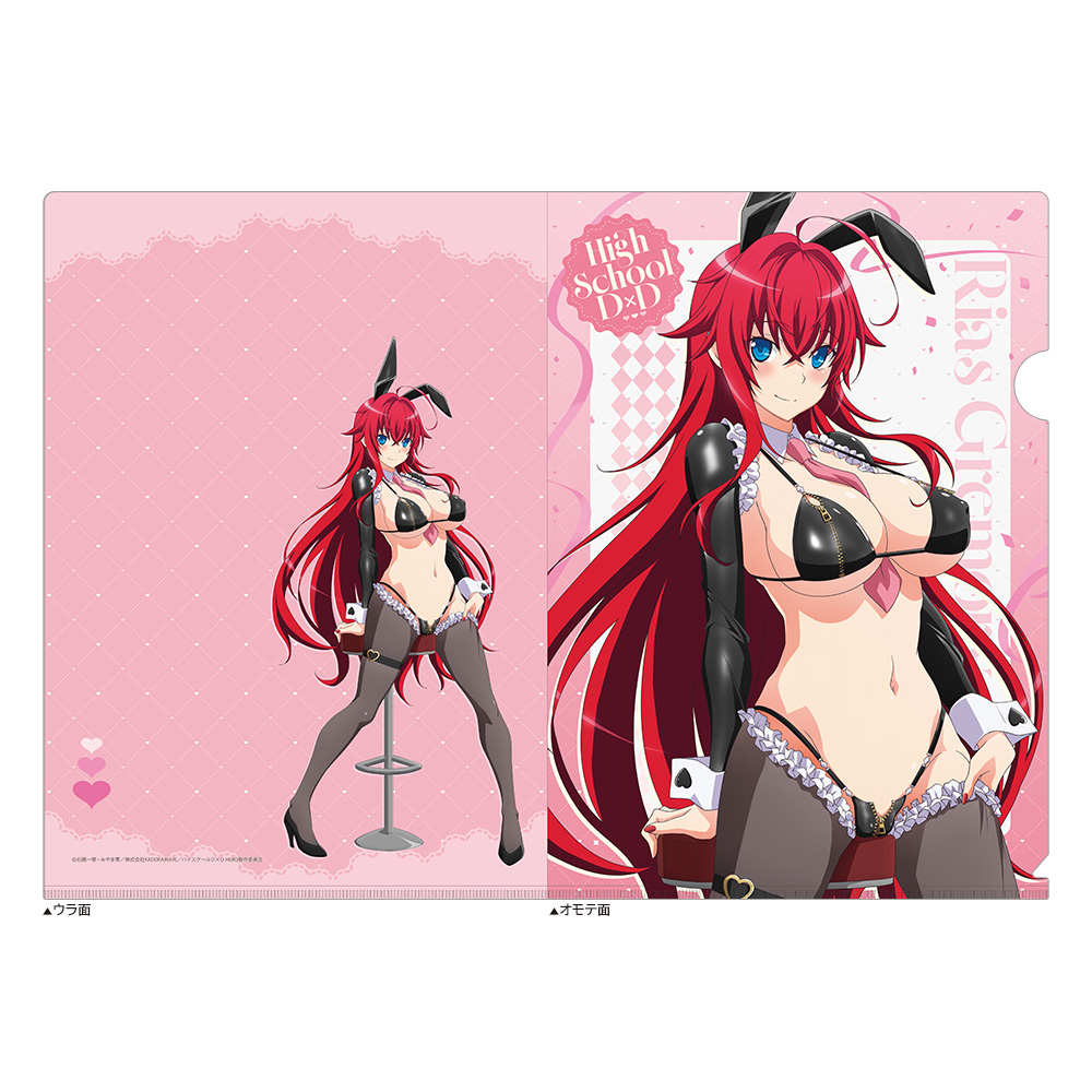 【カーテン魂】ハイスクールD×D HERO 描き下ろし クリアファイル（リアス・グレモリー/逆バニー（黒））